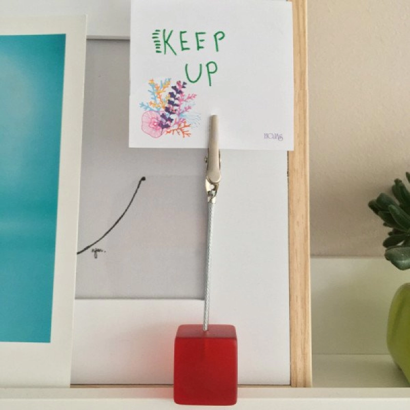 Clip Cubo Frost 1 guaya, de 2.5 cmts