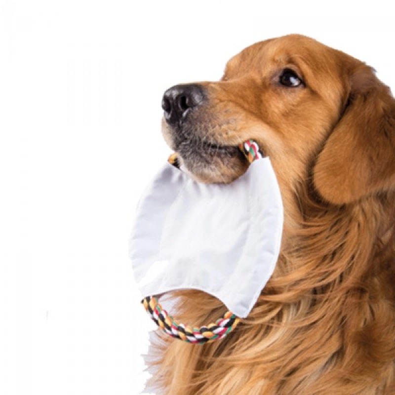 Frisbee Skip, para mascotas, 20 cmts diametro.