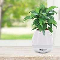 Parlante Bluetooth Jungle, 3W con lampara LED y matera, 11.4 x 11.4 x 11.7 cmts