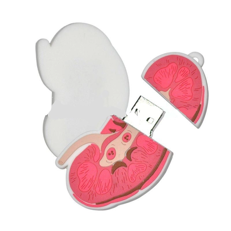 Memoria USB en PVC 2D diseño Riñon