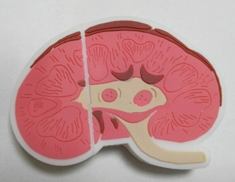 Memoria USB en PVC 2D diseño Riñon