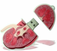 Memoria USB en PVC 2D diseño Riñon