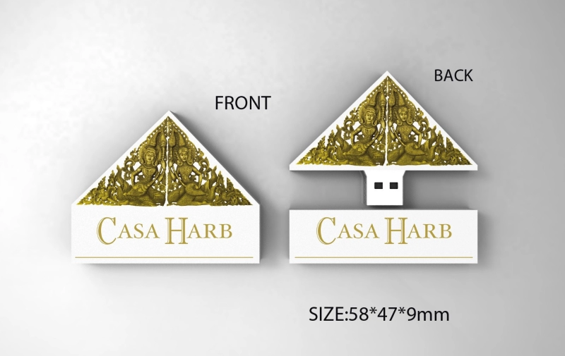 Memoria USB en PVC 2D diseño Casa