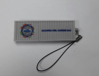 Memoria USB en PVC 2D diseño Contenedor