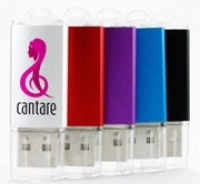 Memoria USB plastica