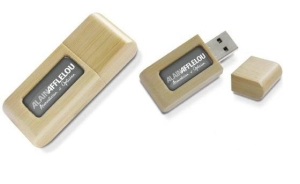 Memoria USB en madera con  domo